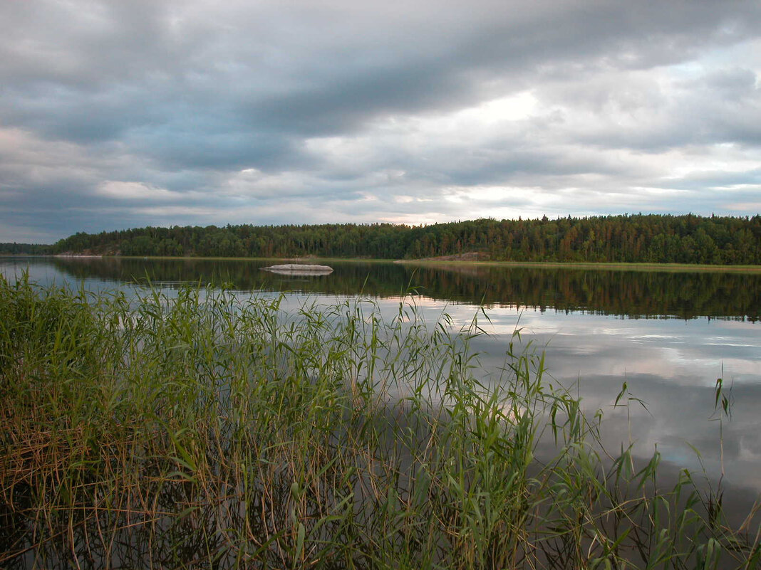 Спустись к нам, тихий вечер... - Наталья Лунева 
