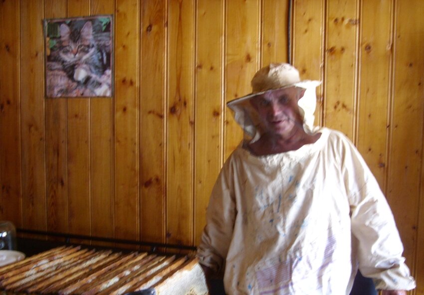 Качают    мёд - 2 - Галина Кузьмина