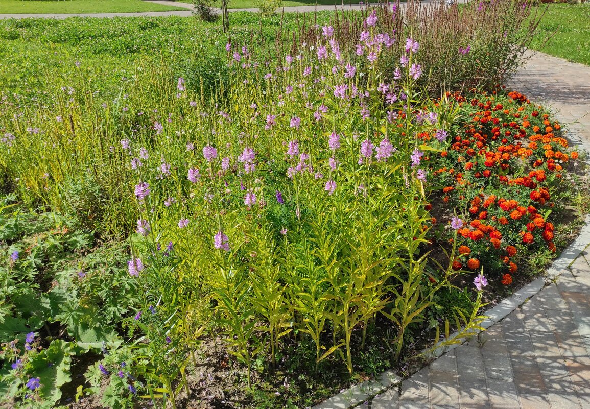 Клумба на территории храма - Игорь Ч.