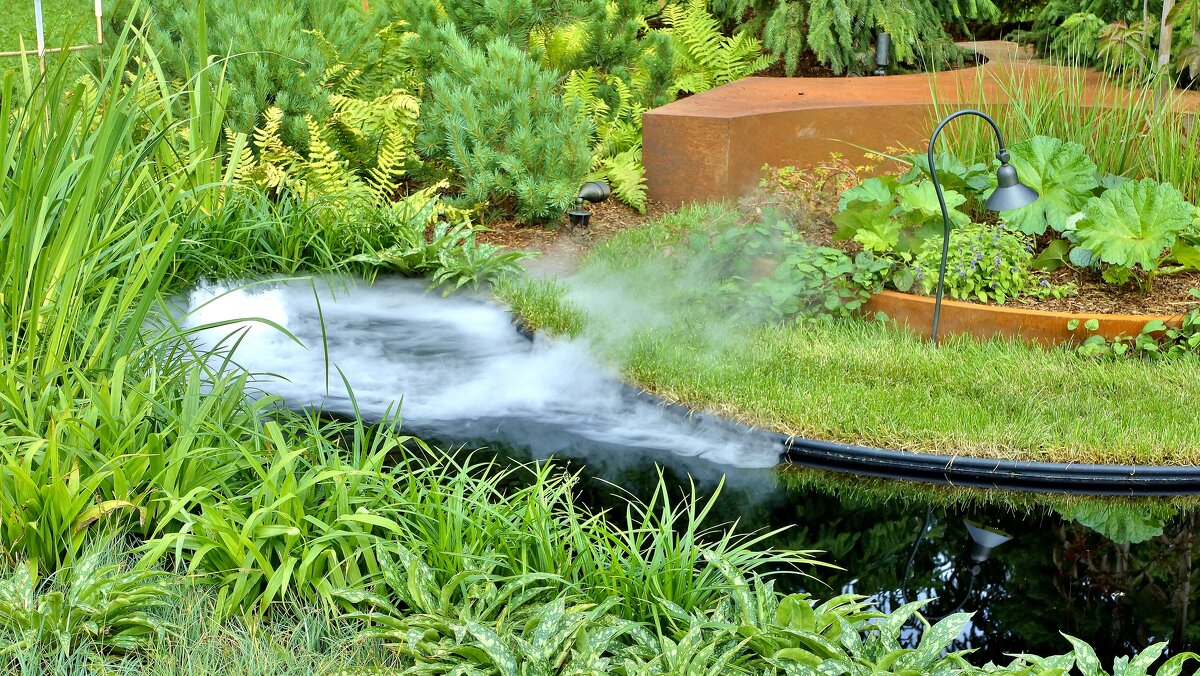 ФЕСТИВАЛЬ В ЦАРИЦЫНО - АЛЕКСАНДР 