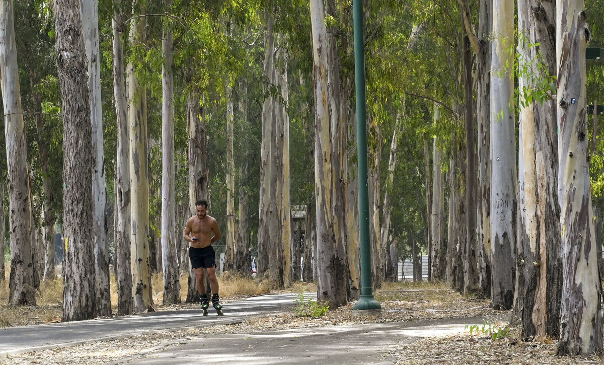 в здоровом теле... - Осень 