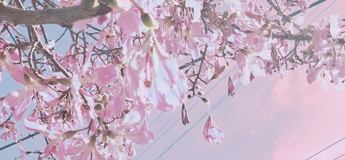 13  ОПЕН (241) - OPEN WAYS ALL