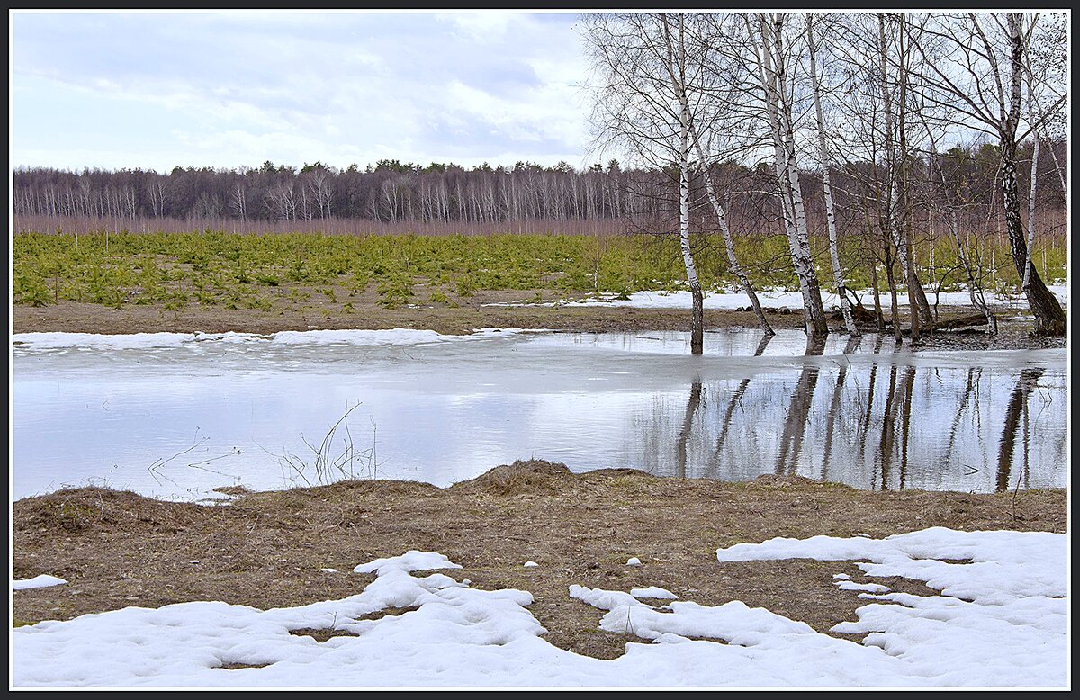 Апрель - **** vedin