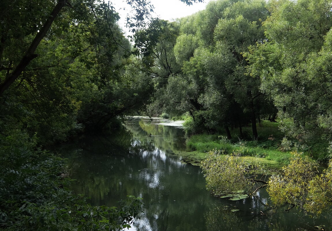 Тихая заводь. - Люба 