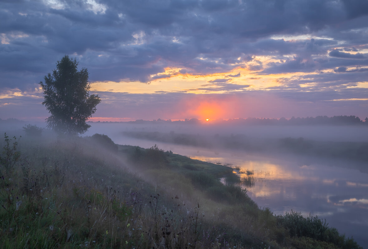 **** - Елизавета .