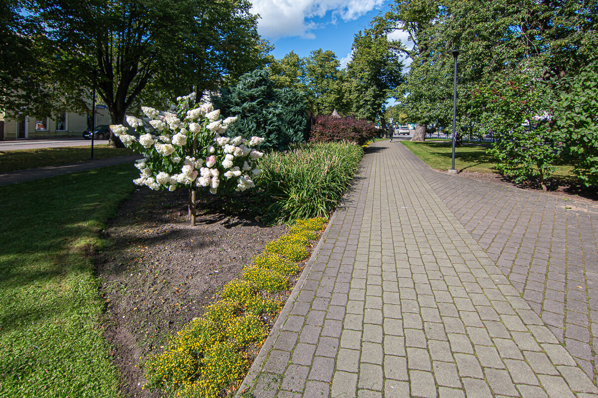 *** - Геннадий Порохов