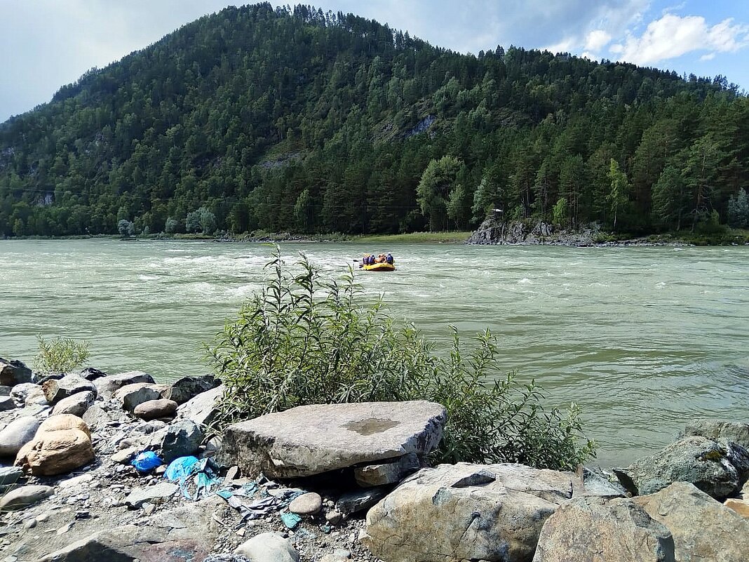 Алтай . Река Катунь . Сплав. - Мила Бовкун