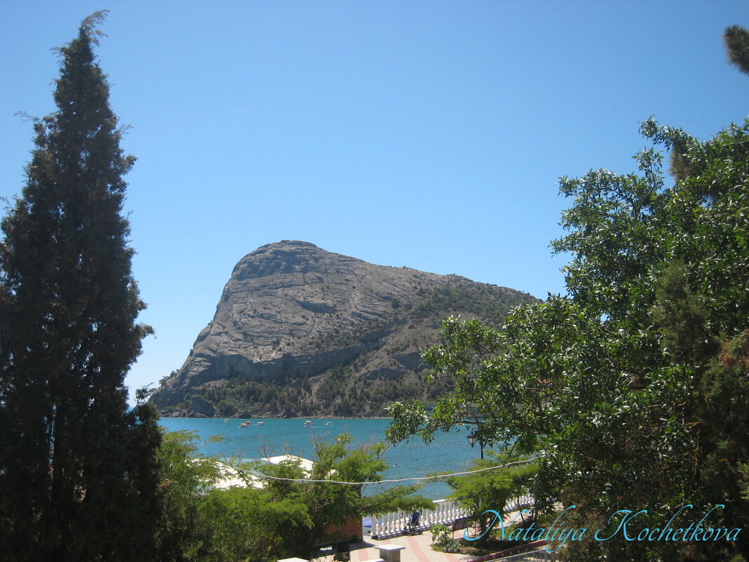 Природа Крыма - Amazing Cosmea