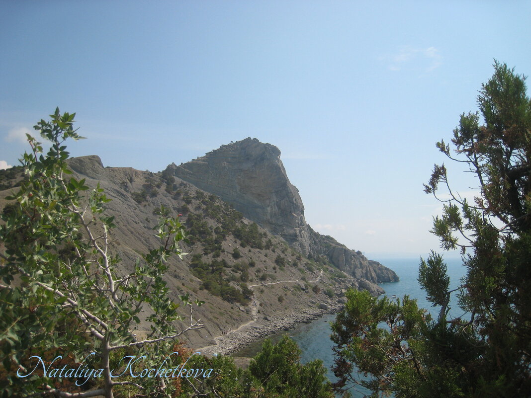 Природа Крыма - Amazing Cosmea