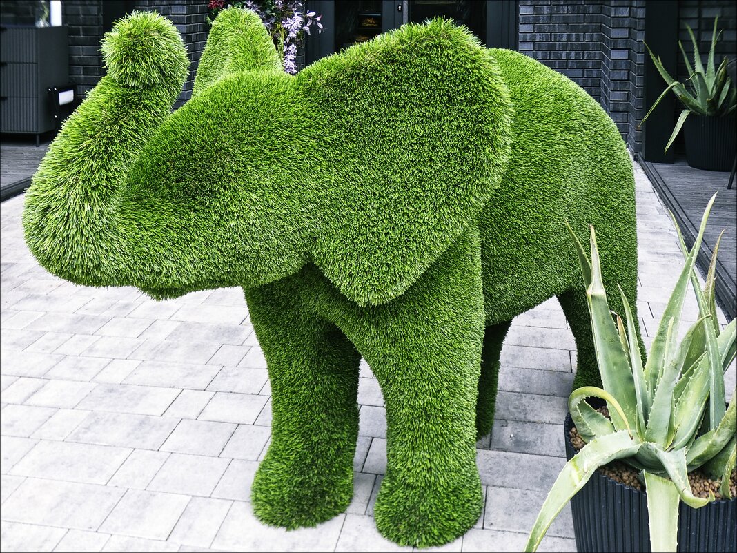 Вышел слоник погулять... - Валентина *