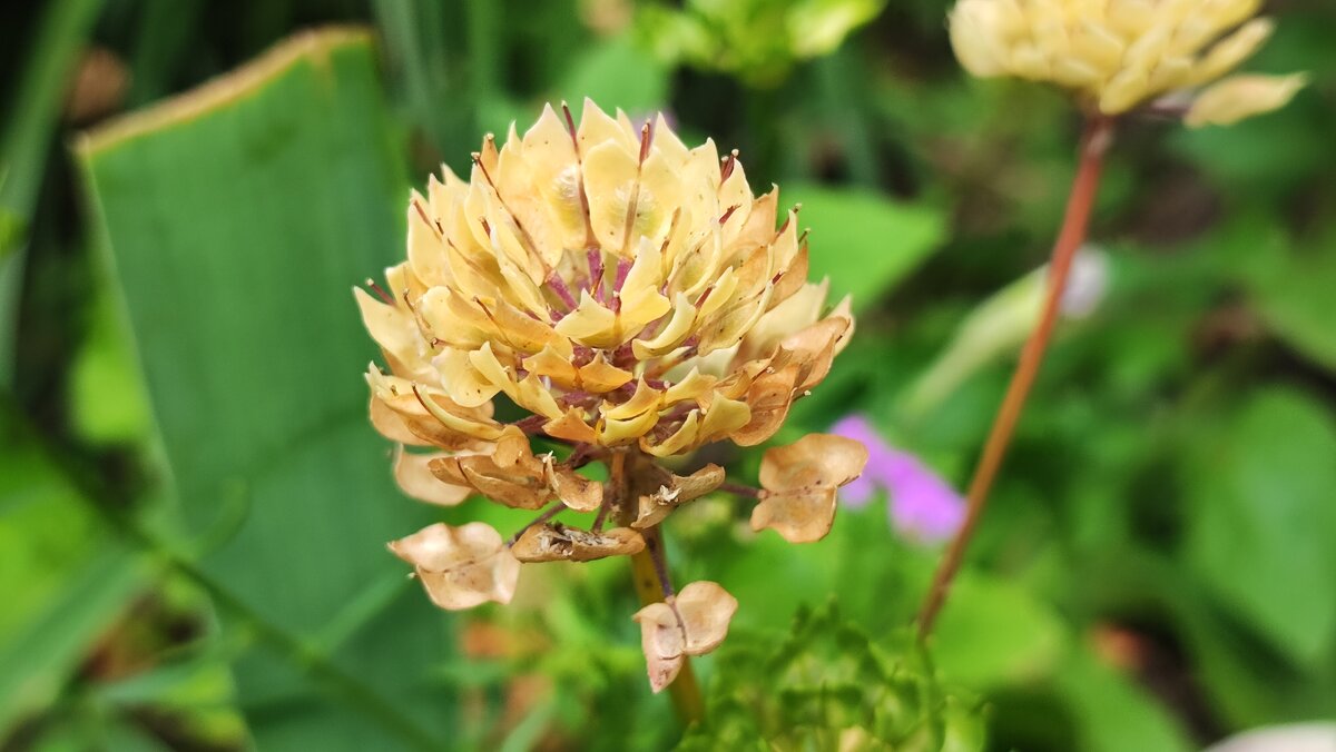 ,,, - Сергей Тимоновский