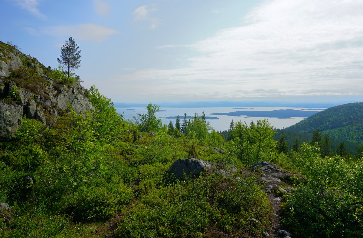 Природа Заполярья - Ольга Чистякова