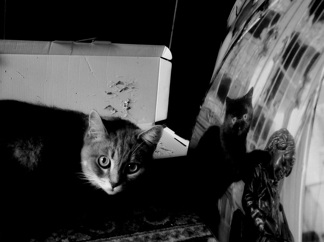 Уж мы их душили-душили... душили-душили... (с) - Maria Rainer