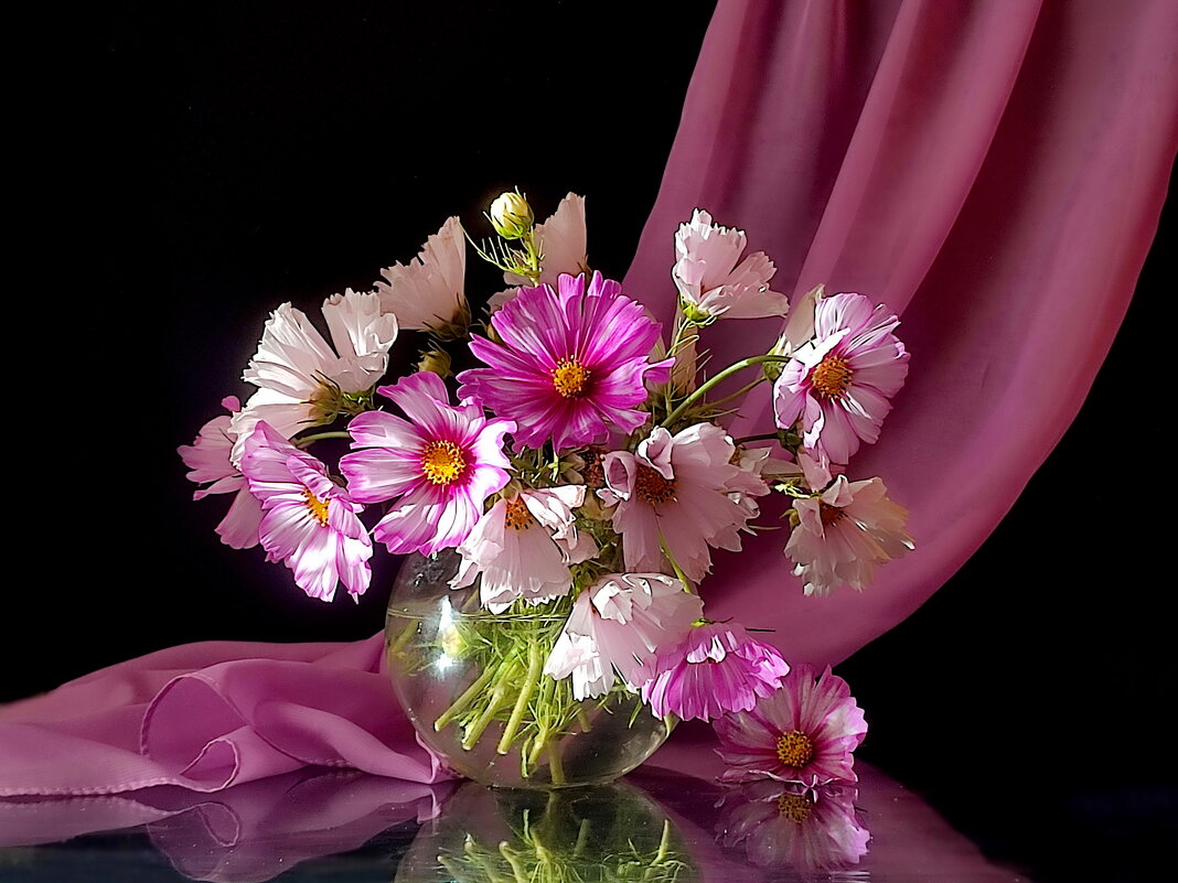 Космеи букетик - Валентина Богатко 