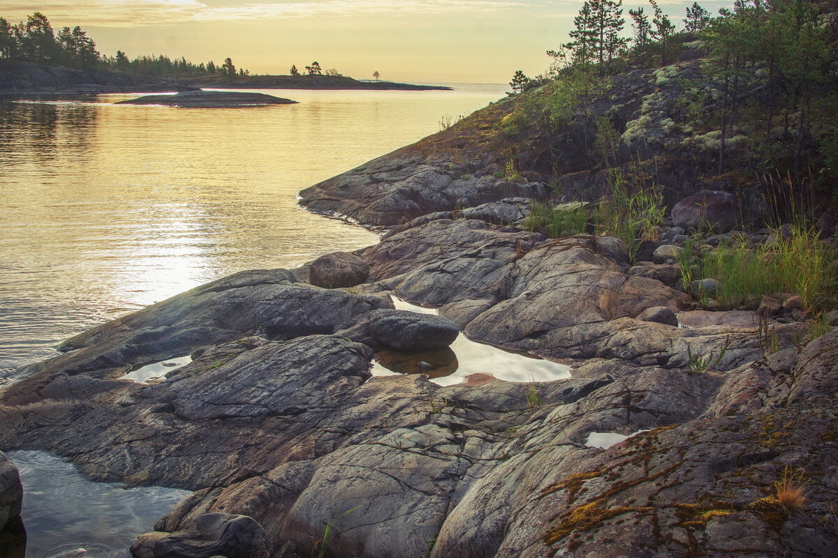 *** - Сергей  Могутов 