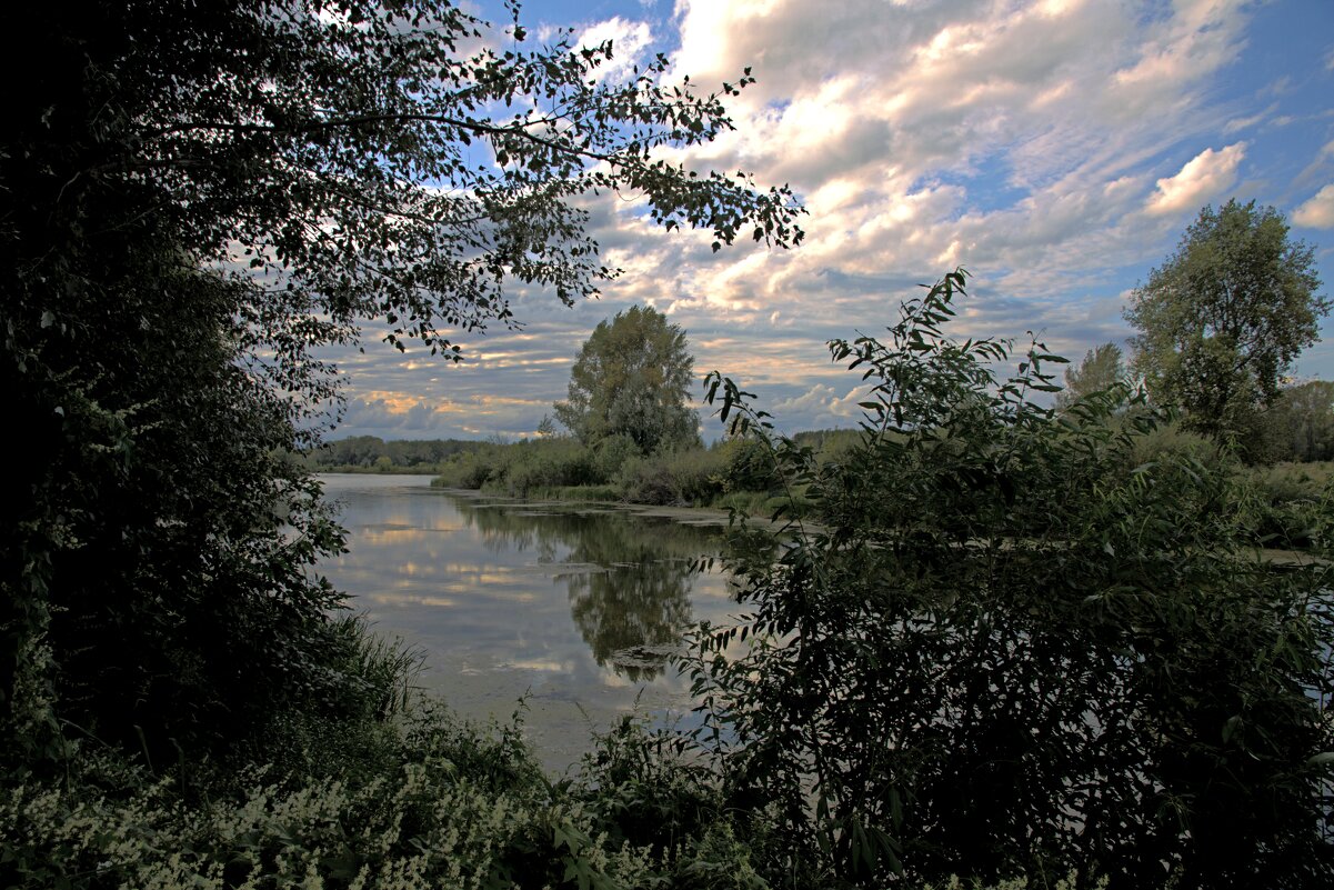 ... - Валерий 