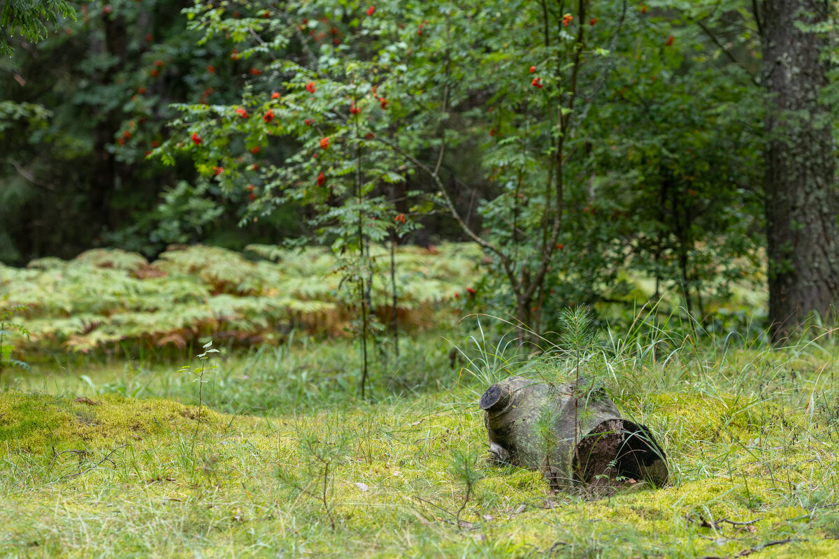 лес - k-e-r-g-u-d-u DM