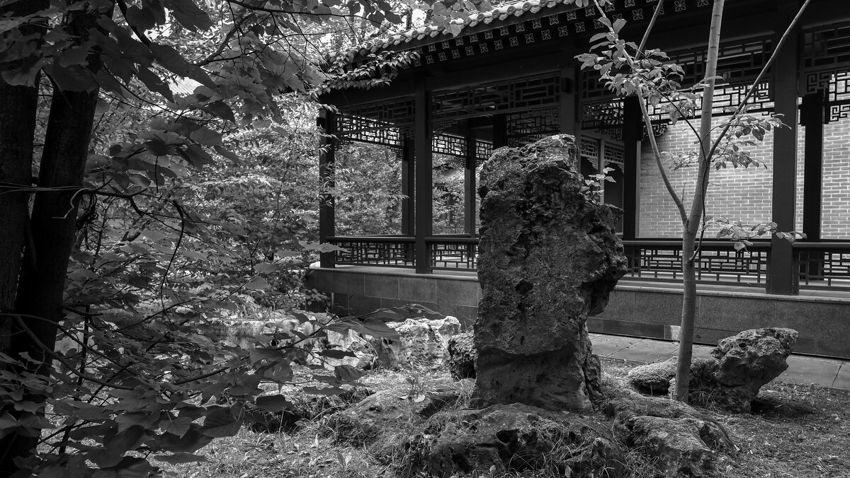 В Парке Хуамин - юрий поляков