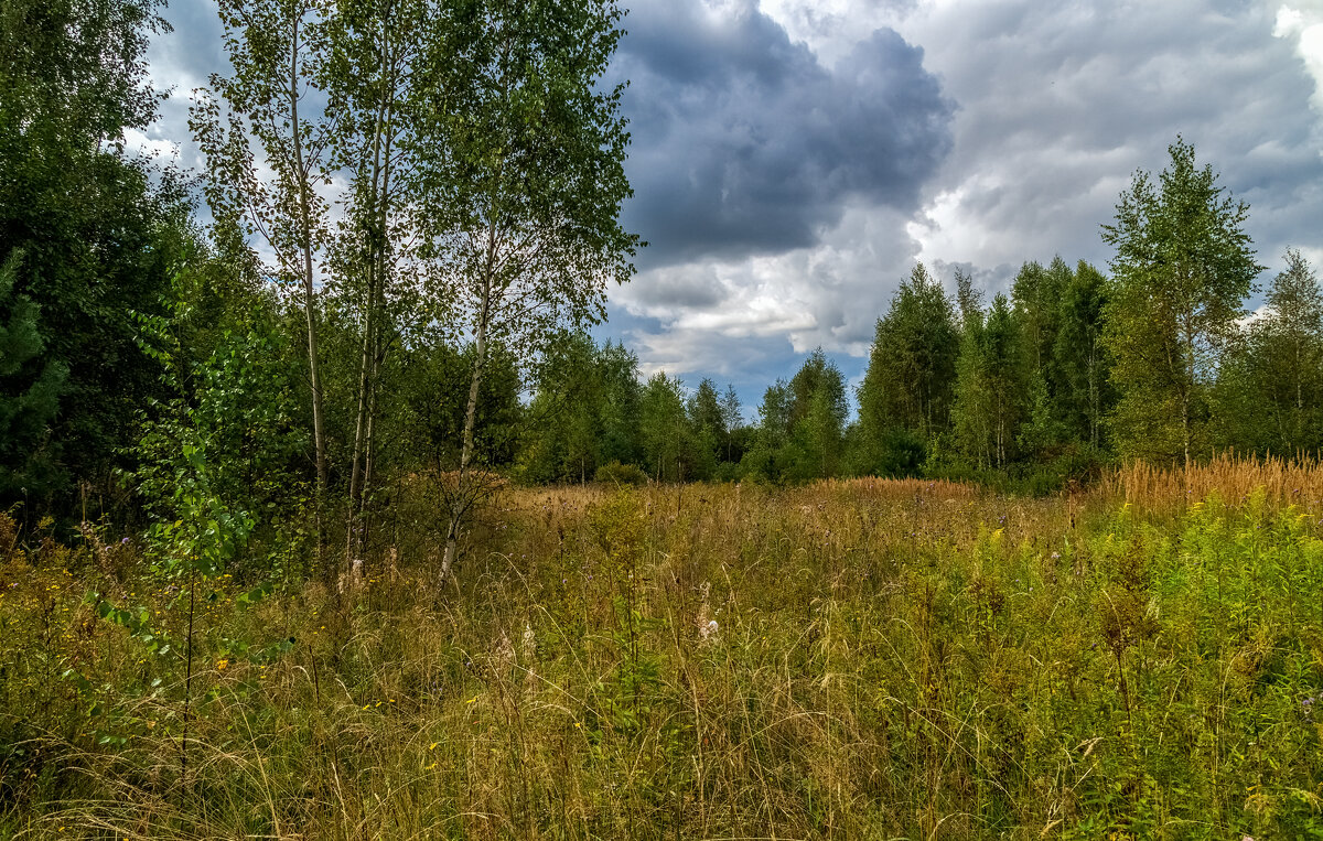 Вторая половина Августа 11 - Андрей Дворников