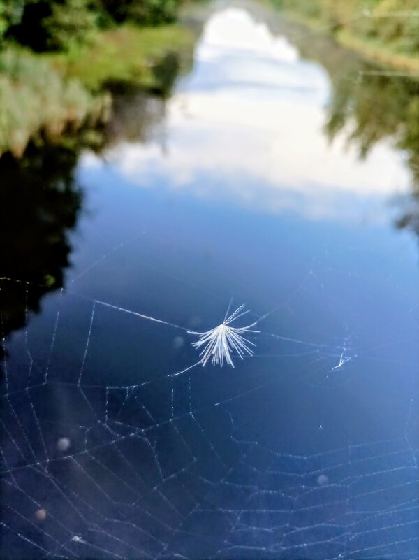 Над водой - Veera V