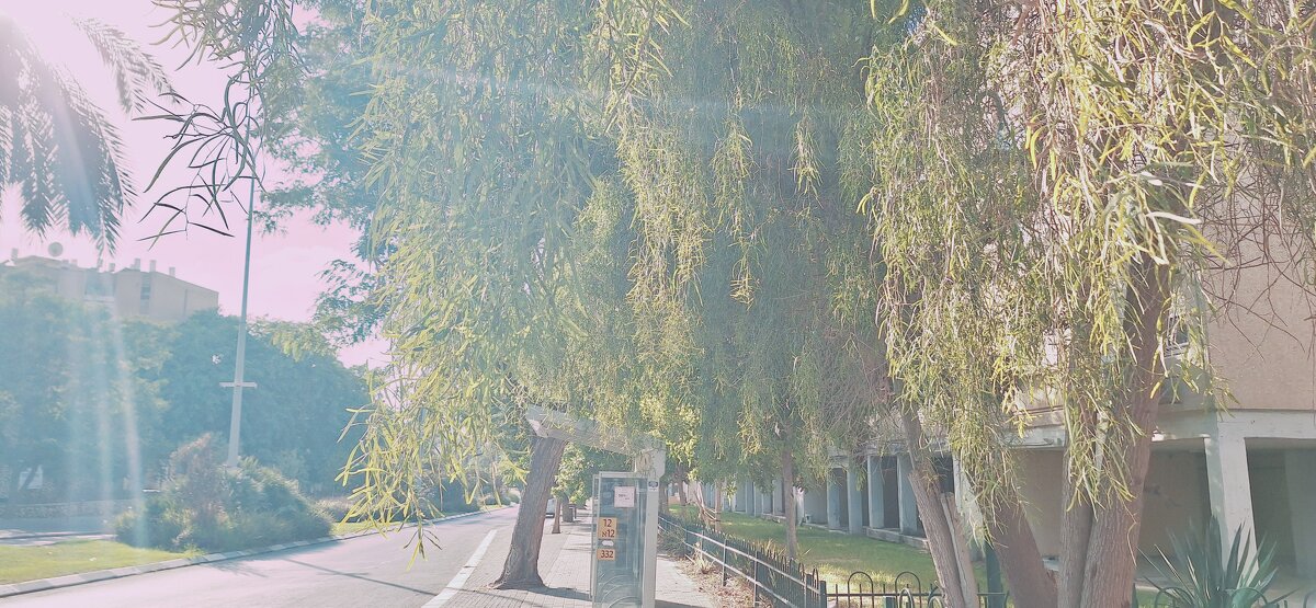 13  ОПЕН (242) - OPEN WAYS ALL