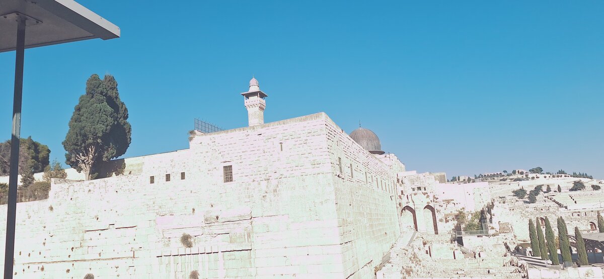 13  ОПЕН (246) - OPEN WAYS ALL