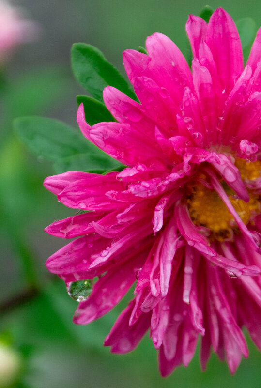 после дождя - Анна Самара