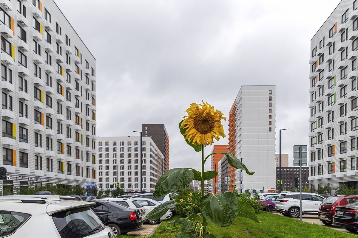 Городской - Валерий Иванович Городской - Валерий Иванович