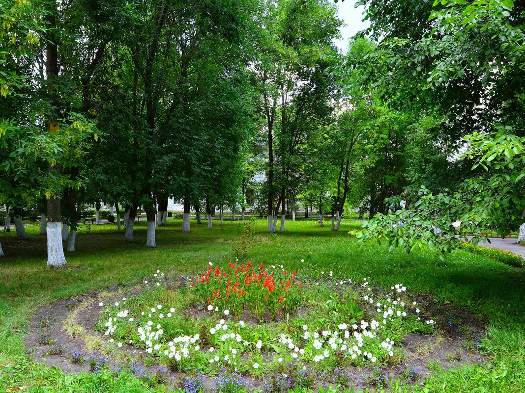 Алатырь. Клумба Центрального парка летом. - Пётр Чернега