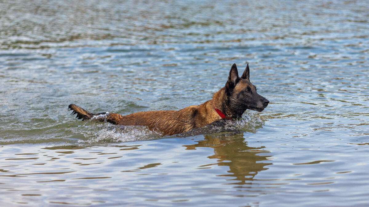 * - k-e-r-g-u-d-u DM