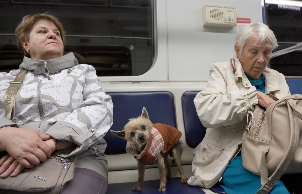 24 августа - Михаил Бибичков 24 августа - Михаил Бибичков