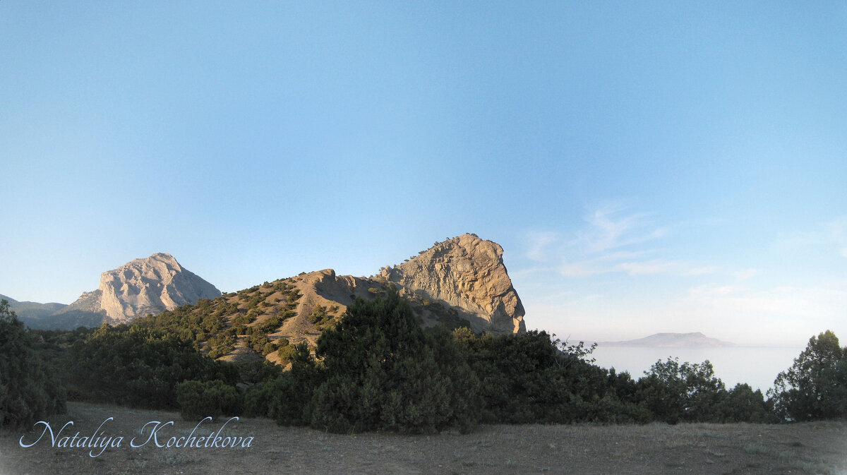 Природа Крыма - Amazing Cosmea