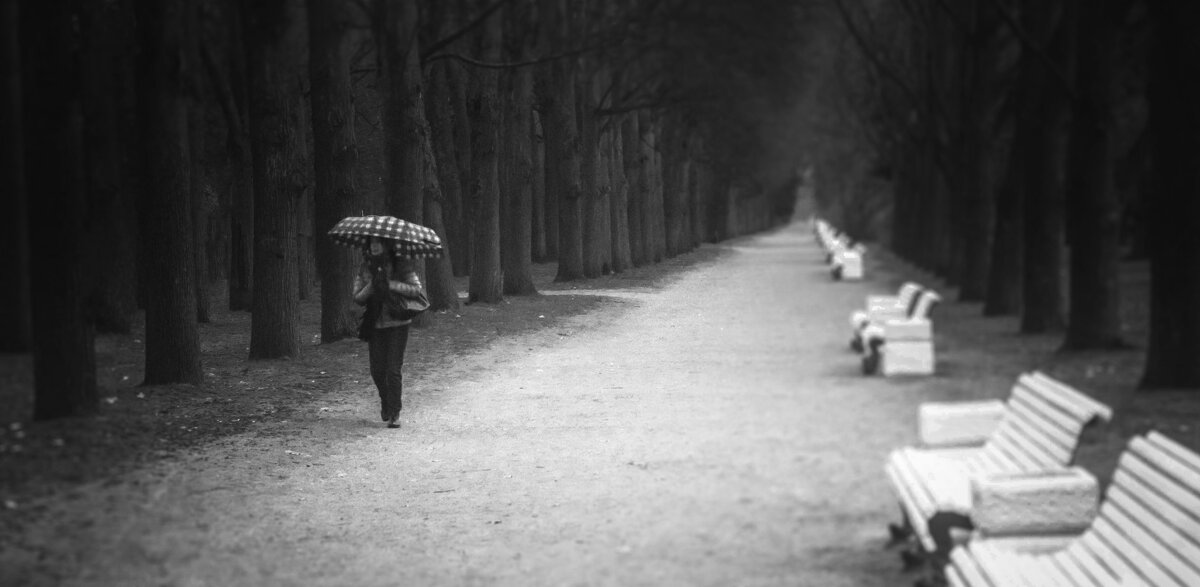 Одиночество - Роман Самарский