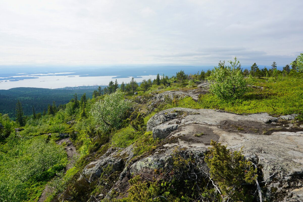 Зато какая красота! - Ольга Чистякова