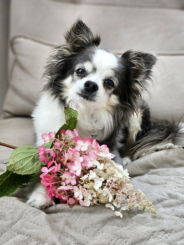 Моя любимая. - Галина Левина