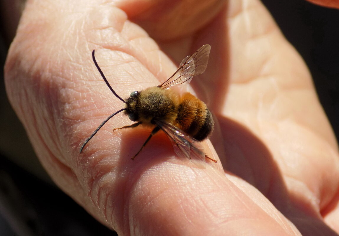 ... - Константин Штарк