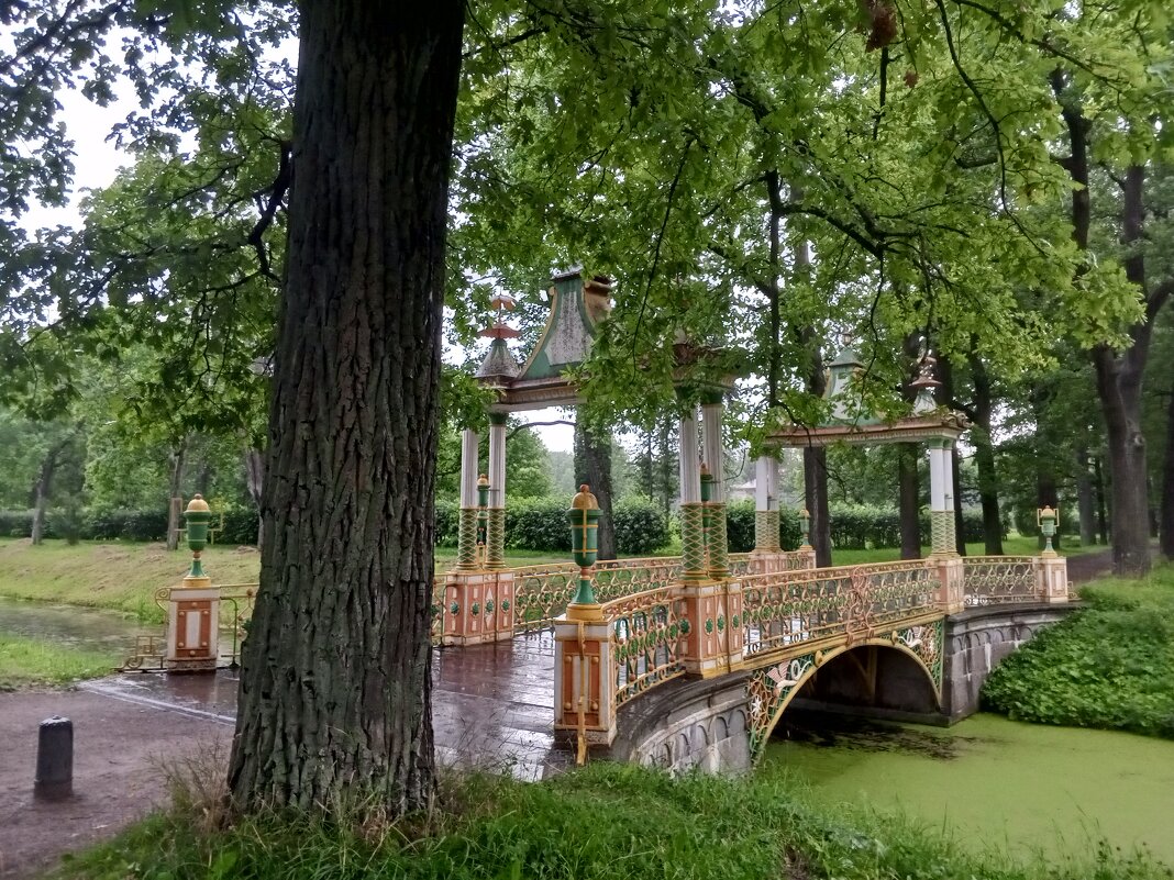 Китайский мостик - Сапсан 