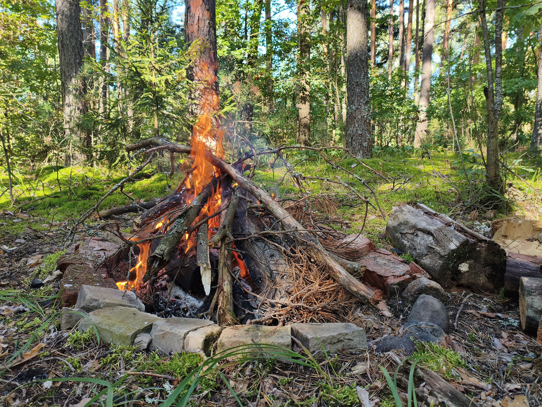 Пляс огня - Денис Бочкарёв Пляс огня - Денис Бочкарёв