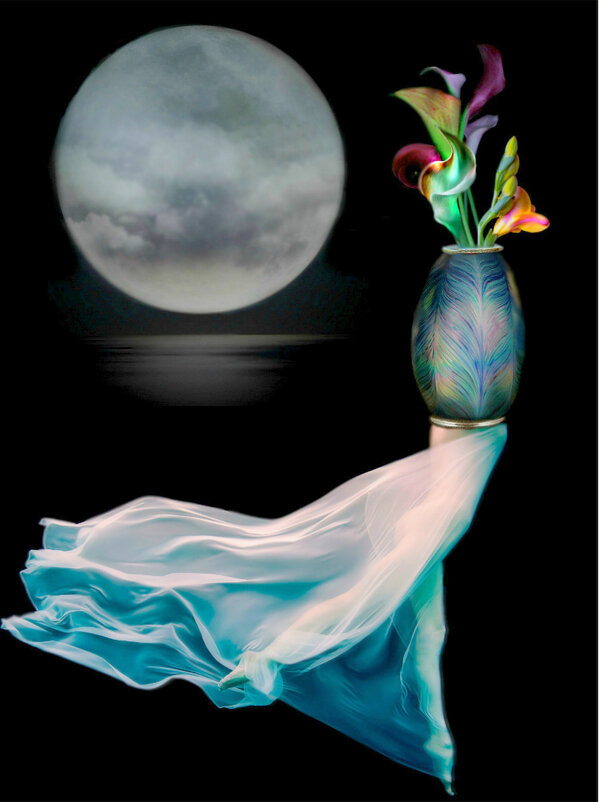 Лунная  рапсодия  (в стиле импрессионизма) - Е.М. ***