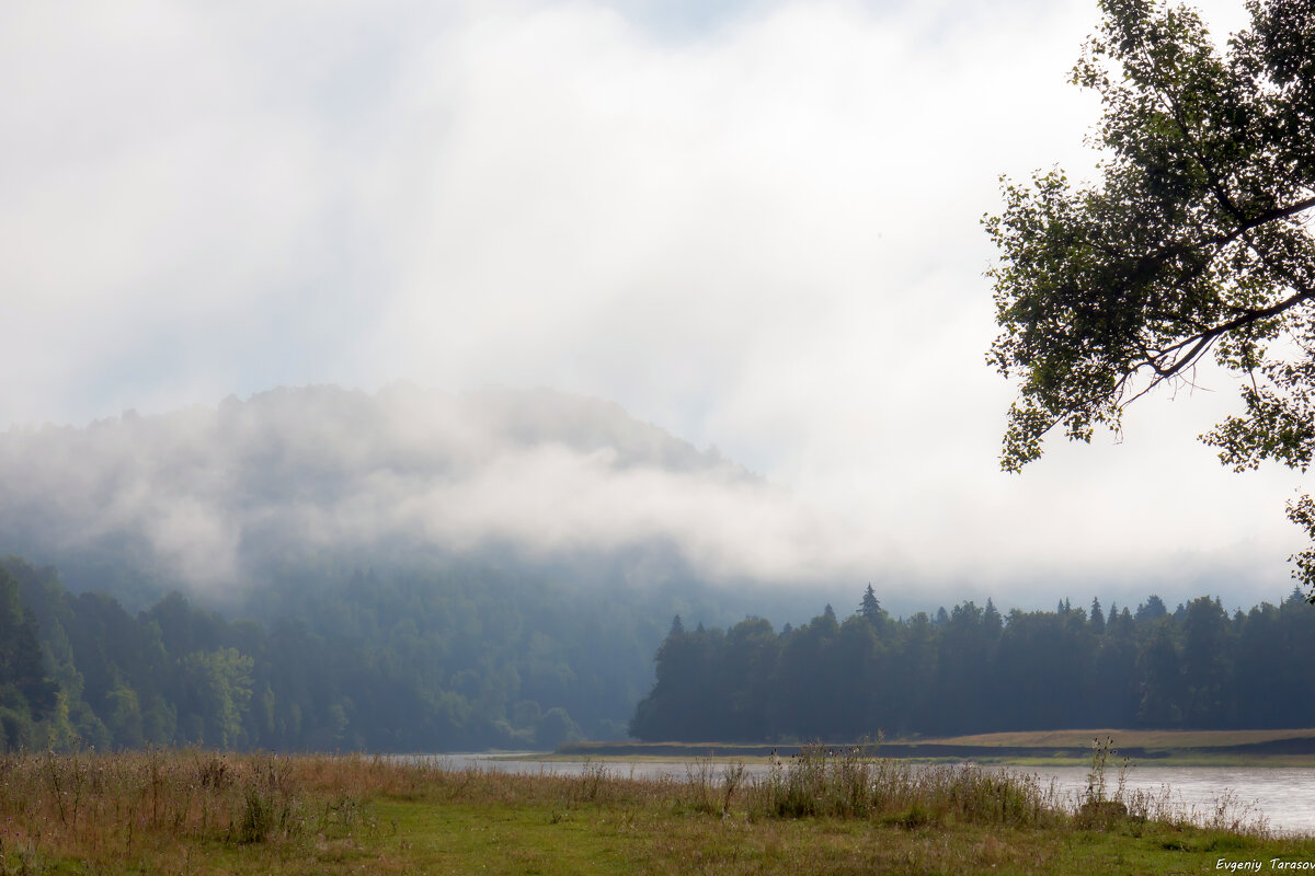 Утро в Башкирии - Евгений Тарасов 