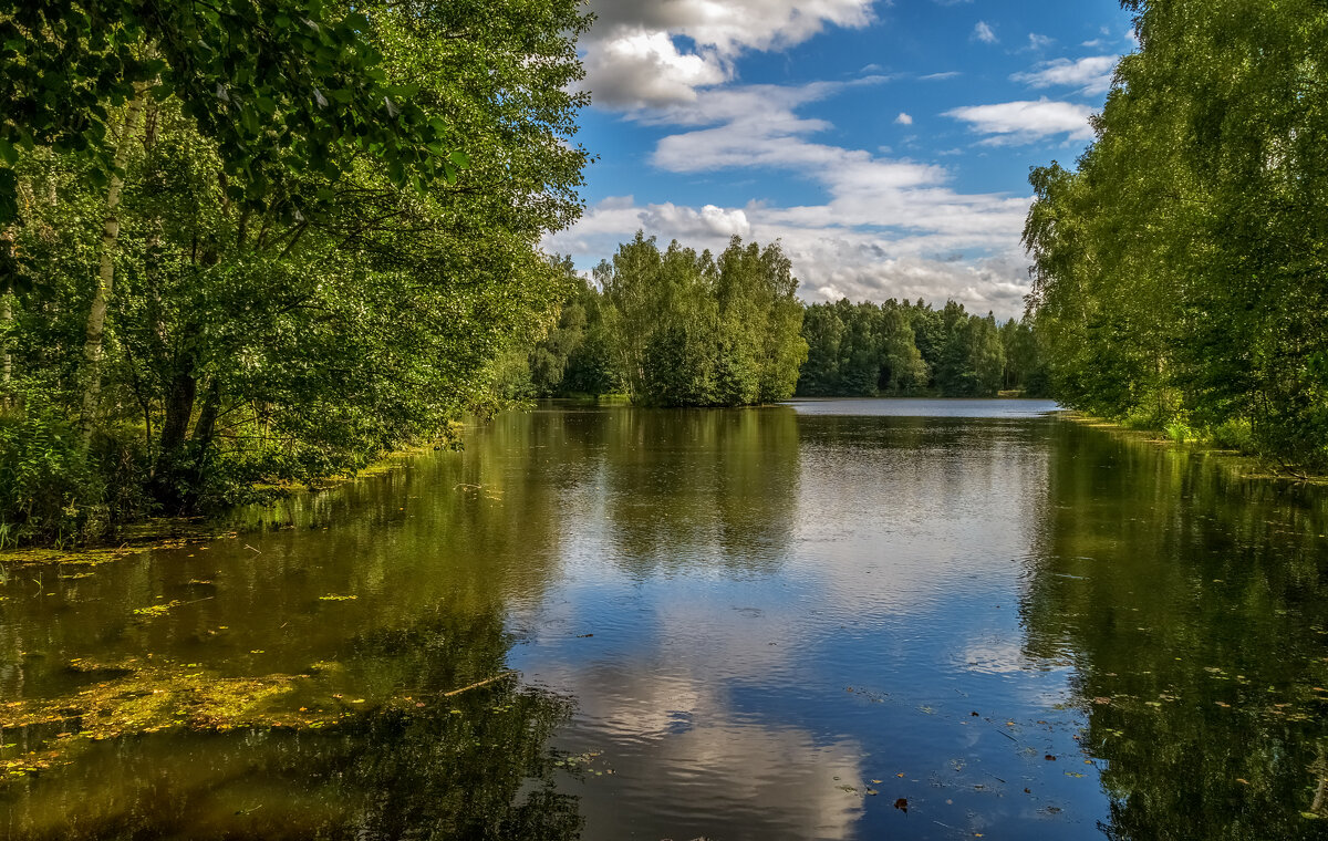 Вторая половина Августа 12 - Андрей Дворников