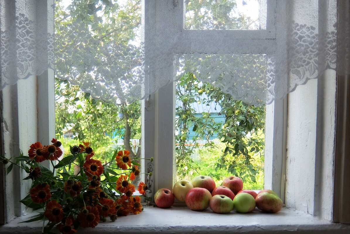 Домик окнами в сад... - Люба 