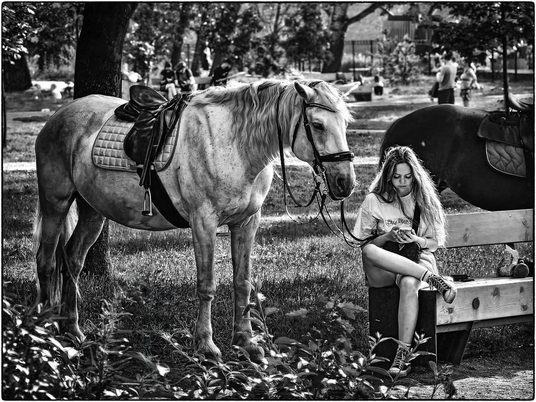 - ЭсЭмЭска пришла? Читай вслух. - Анатолий ИМХО