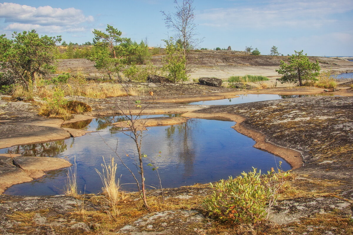 *** - Сергей  Могутов 