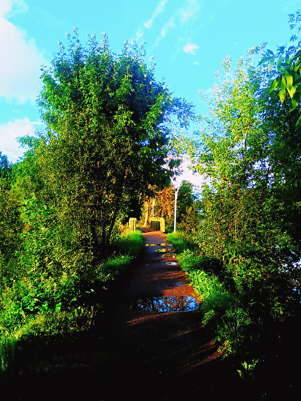 Дорожка на прудах - Сергей Кочнев