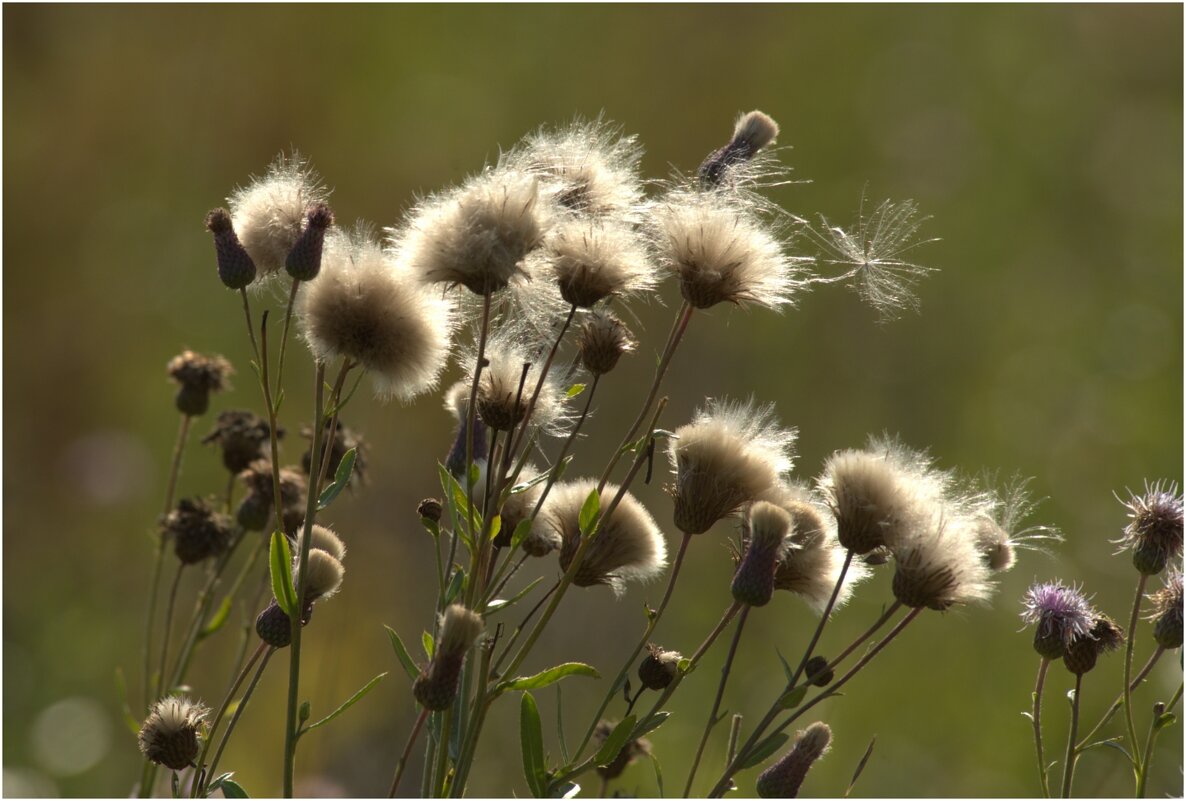Вот и лето прошло - Валентин Котляров