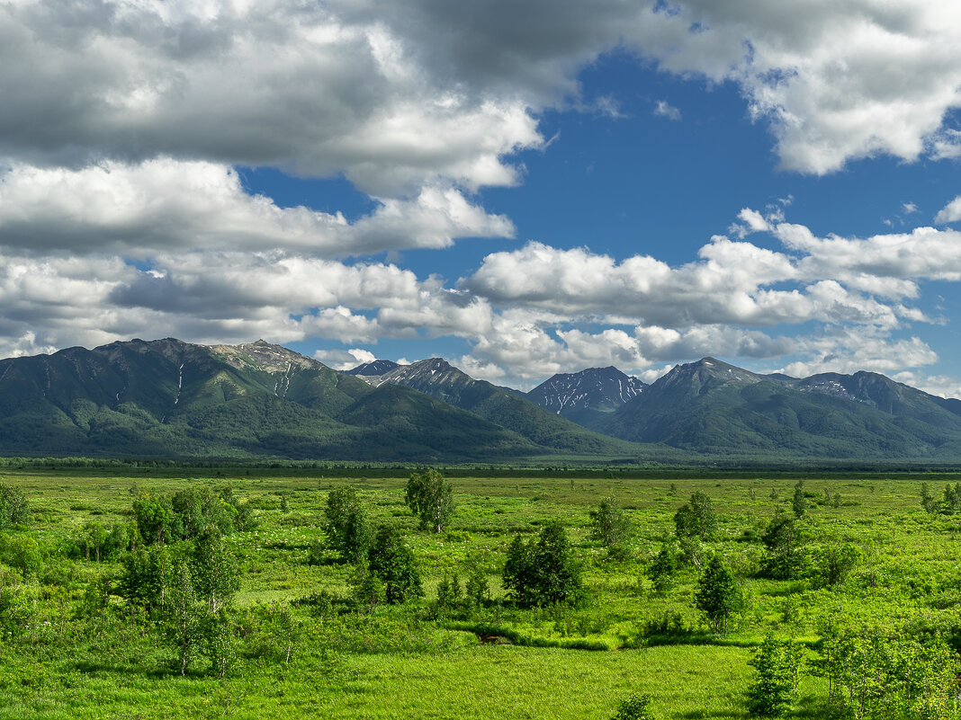 ... - Жора Житников