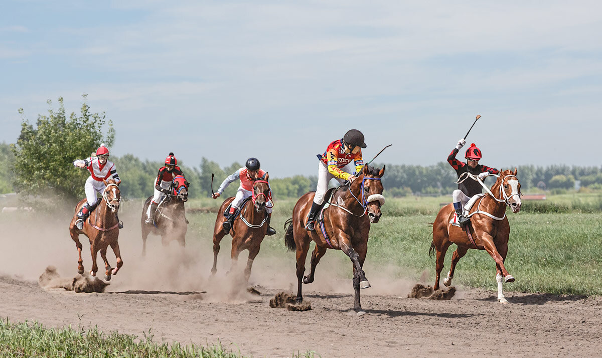 Скачки - SanSan 