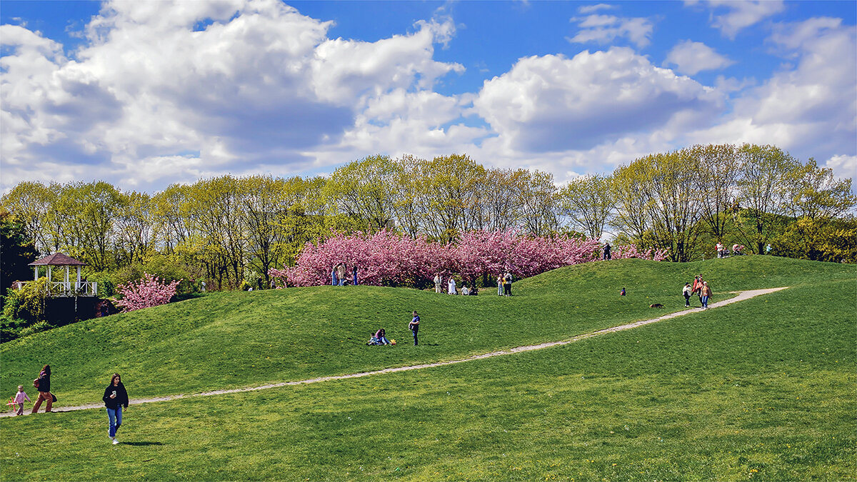 Радость бытия - Alexandеr P