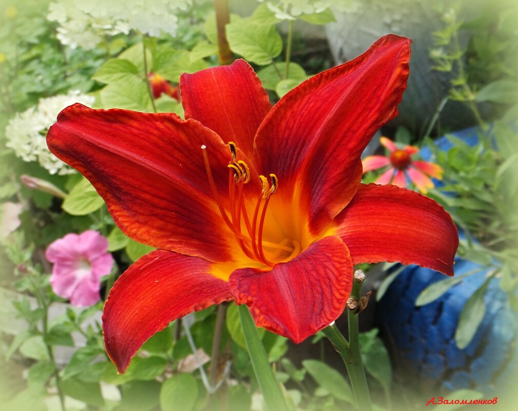 О звёздах ушедшего лета.... - Андрей Заломленков